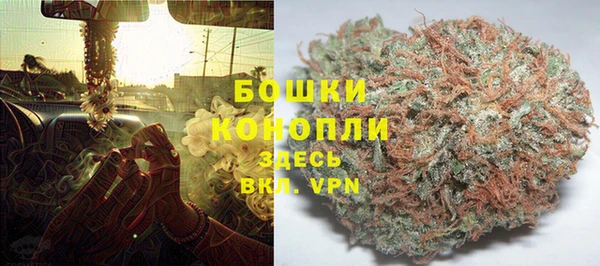 ECSTASY Каменка