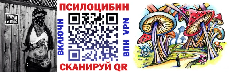Купить где  Темников  Псилоцибиновые грибы мицелий 