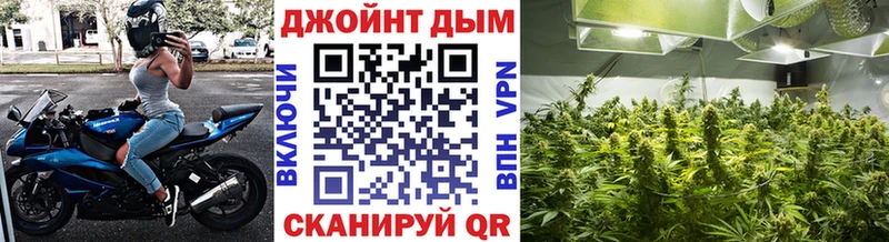 Конопля семена  Купить где  Темников 